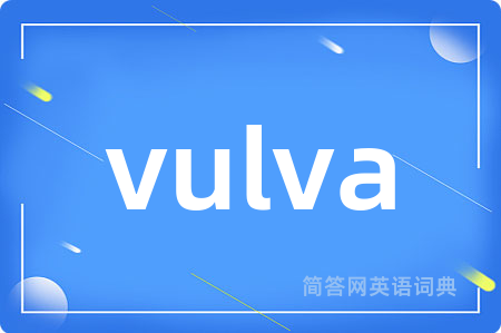 vulva