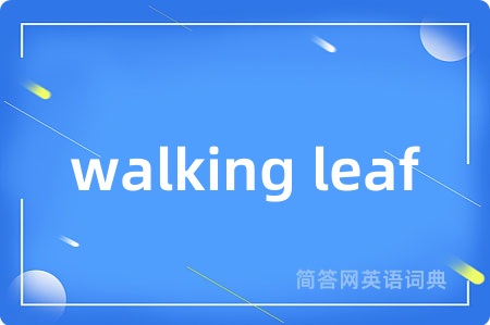 walking leaf