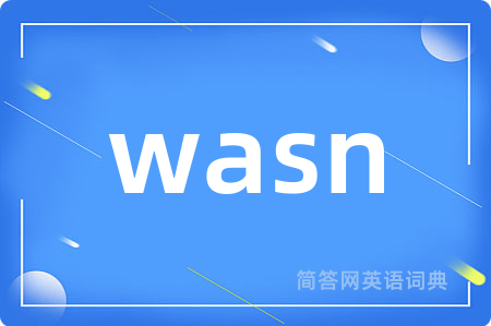 wasn是什么意思,wasn的中文翻译 wasn