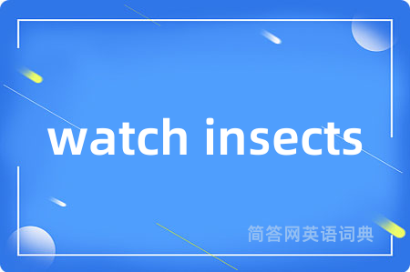 watch insects