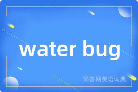 water bug