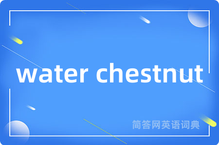 water chestnut