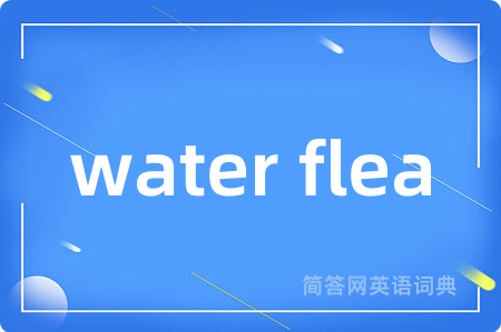 water flea