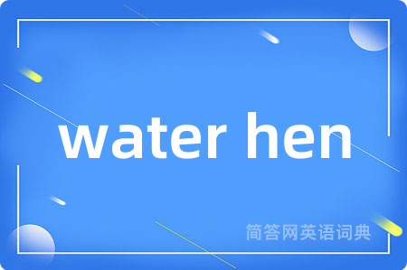 water hen