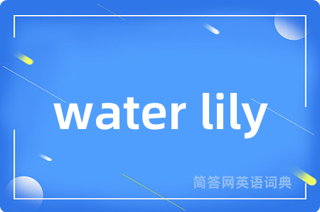 water lily