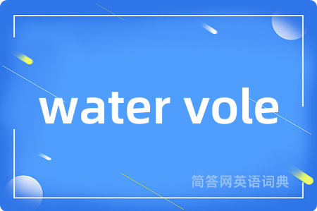 water vole