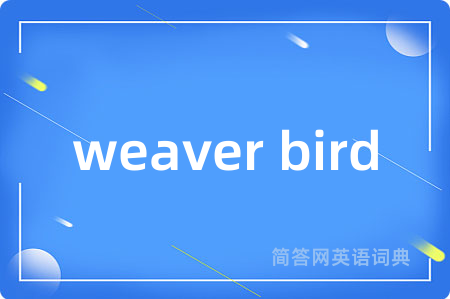 weaver bird