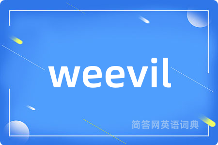weevil