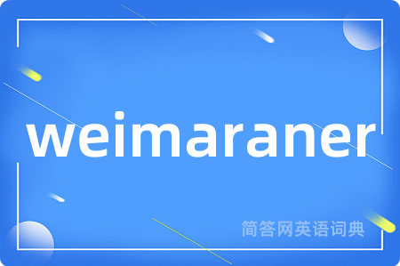 weimaraner