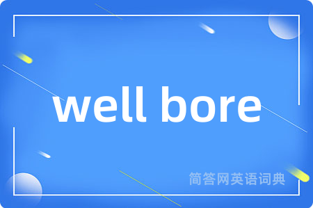 well bore是什么意思,well bore的中文翻译 well bore