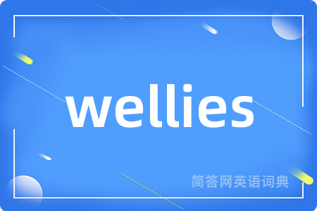 wellies是什么意思,wellies的中文翻译 wellies