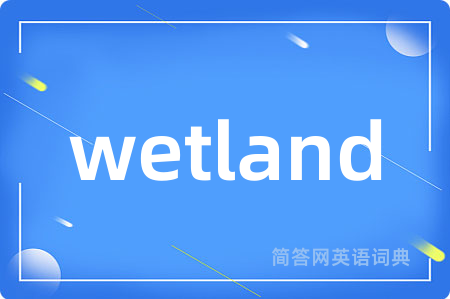 wetland