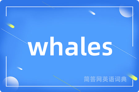 whales是什么意思,whales的中文翻译 whales