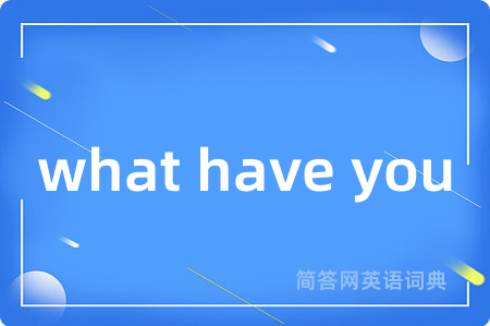 what have you是什么意思,what have you的中文翻译 what have you