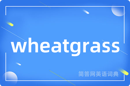 wheatgrass
