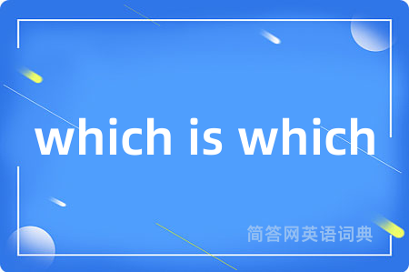 which is which是什么意思,which is which的中文翻译 which is which