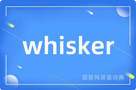whisker