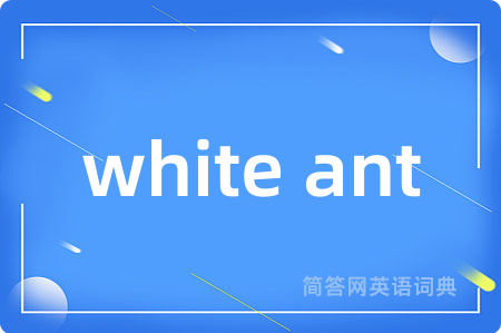 white ant