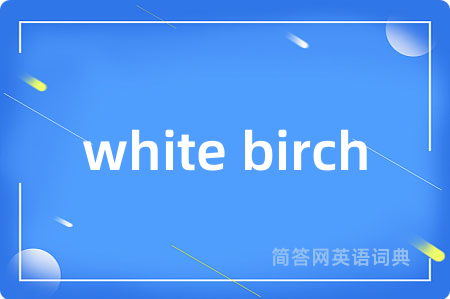 white birch是什么意思,white birch的中文翻译 white birch