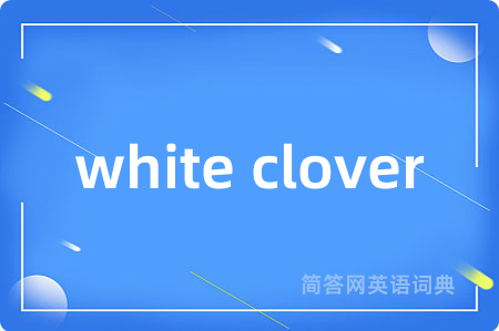 white clover是什么意思,white clover的中文翻译 white clover