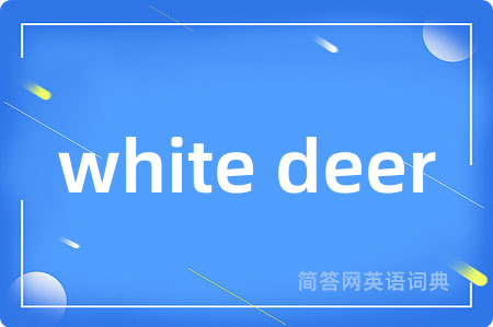 white deer