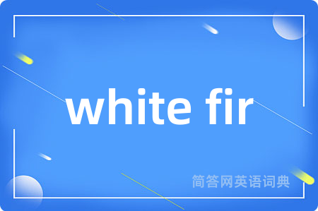 white fir
