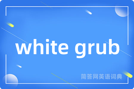 white grub