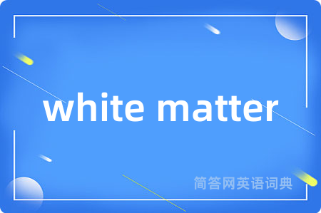 white matter是什么意思,white matter的中文翻译 white matter
