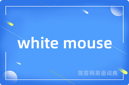 white mouse