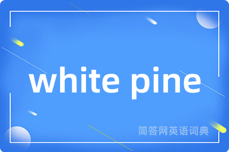 white pine