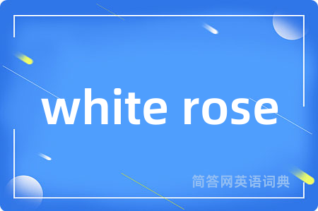 white rose是什么意思,white rose的中文翻译 white rose