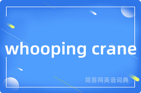 whooping crane