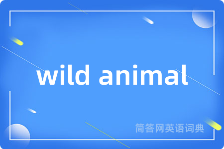 wild animal