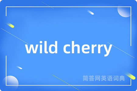 wild cherry是什么意思,wild cherry的中文翻译 wild cherry