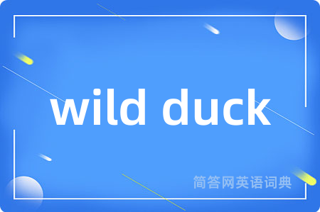 wild duck是什么意思,wild duck的中文翻译 wild duck