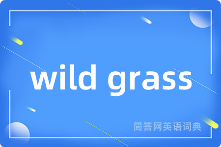 wild grass