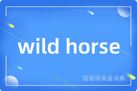 wild horse是什么意思,wild horse的中文翻译 wild horse