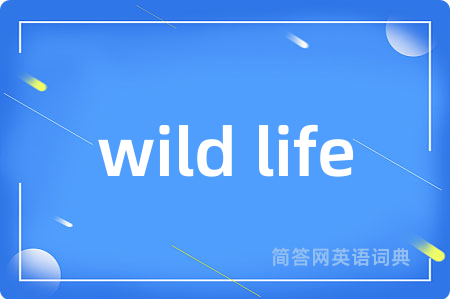 wild life是什么意思,wild life的中文翻译 wild life