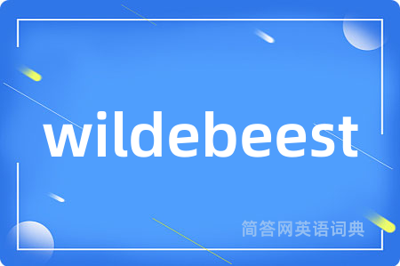 wildebeest
