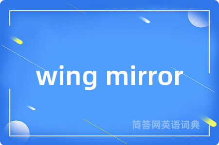 wing mirror