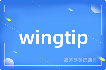 wingtip