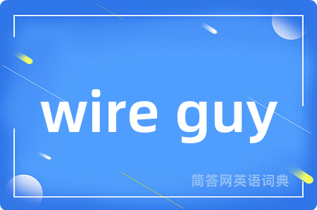 wire guy是什么意思,wire guy的中文翻译 wire guy