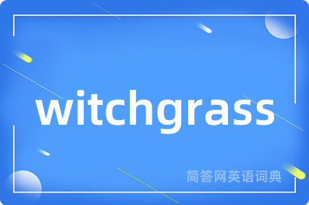 witchgrass