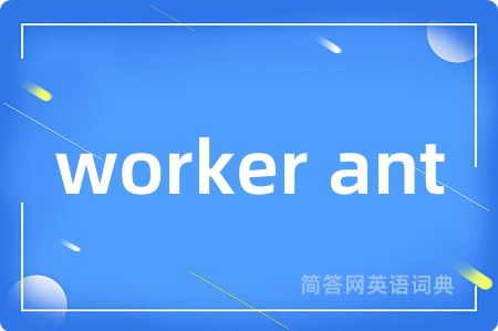 worker ant