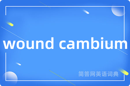 wound cambium