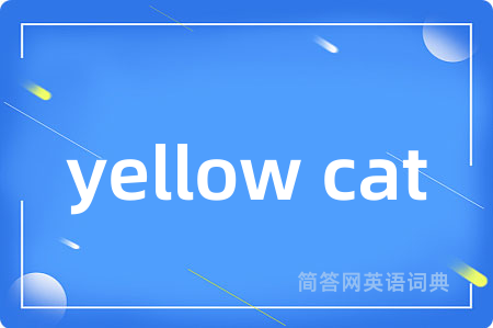 yellow cat