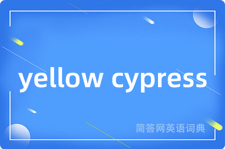 yellow cypress