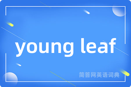 young leaf