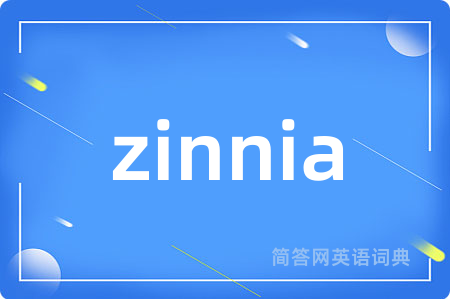 zinnia