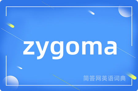 zygoma